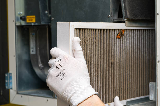 Best Affordable Duct Cleaning Services  in Mount Oliver, PA