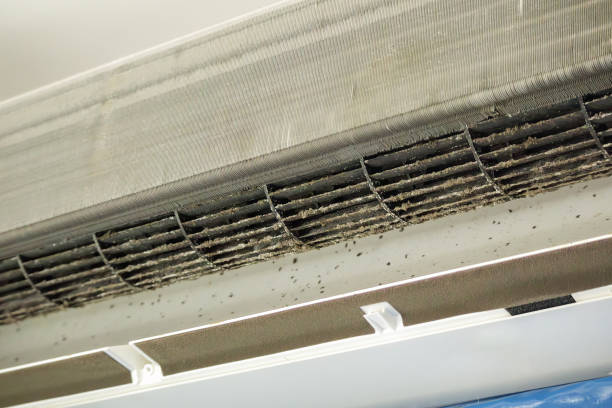 Best Home Air Vent Cleaning  in Mount Oliver, PA